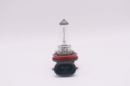 H8 Halogen Bulb