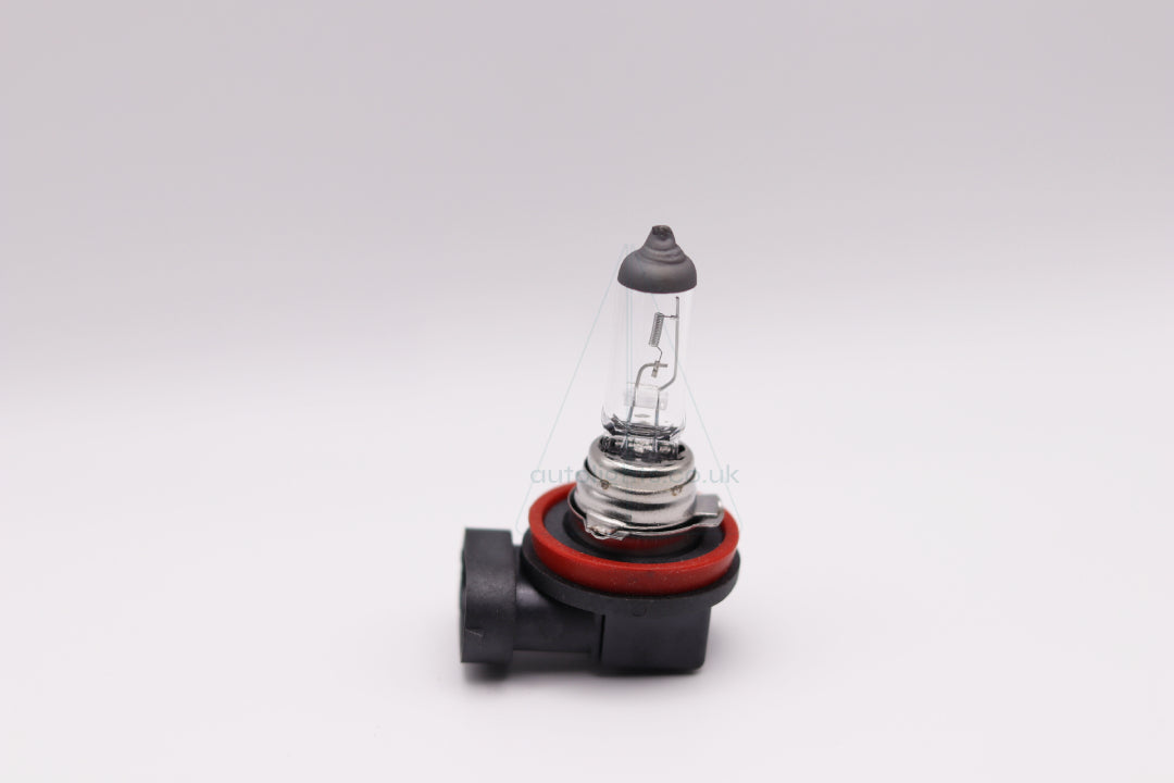 H11 Halogen Bulb